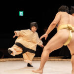 Osaka Sumo Show Experience with Food & Drinks - From pre-show to the ring