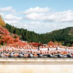 Osaka Todai-ji, Katsuo-ji, Arashiyama Full-Day Tour - Katsuo-ji: Daruma dolls and wishes
