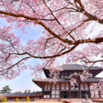 Osaka Wakakusa Mountain & Ikoma Sanjo Amusement Park Full-Day Tour - Ikoma Sanjo Amusement Park, reached by cable car?