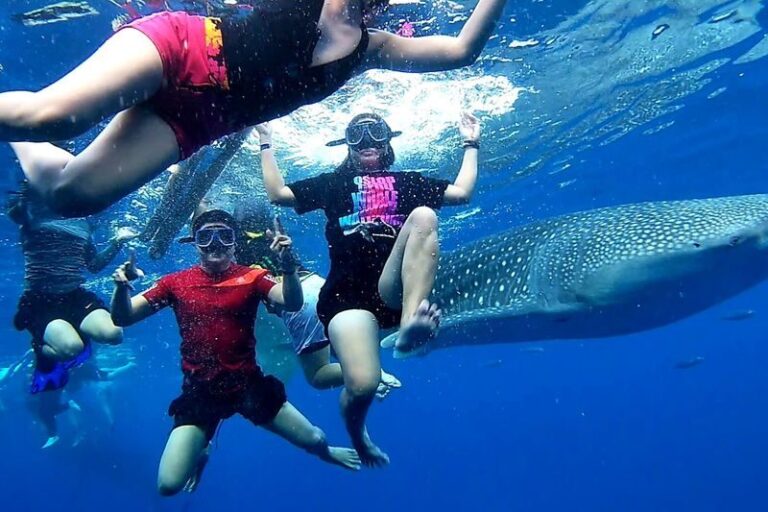 Oslob Whale Shark Watching, Tumalog Waterfalls and Simala Shrine - Meeting the whale sharks in Oslob