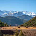 Ourika Valley and Atlas Mountains Day Tour from Marrakech - What the $12.89 starting price tells you, and what it does not