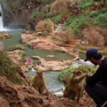 Ouzoud Waterfalls With Boat Ride Tour From Marrakech - First views of the waterfall