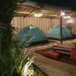 Overnight Dubai Desert Safari: Stay in Igloo Tent or Ensuite Cabin - A camel farm, a camp welcome and quick activities