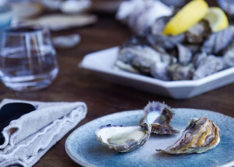 Oyster Farm to Plate Cruise and Tasting Experience - Cruising the lower Hawkesbury River