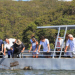 Oysters and Pearl Lovers Tour - Fresh oyster tasting and a shucking demonstration