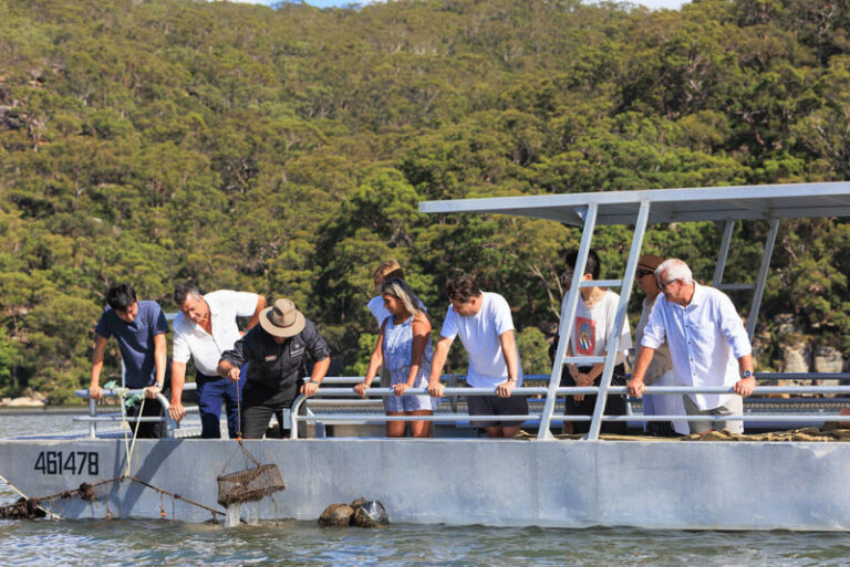Oysters and Pearl Lovers Tour - Fresh oyster tasting and a shucking demonstration