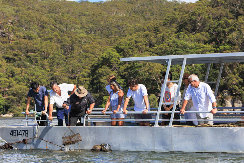 Oysters and Pearl Lovers Tour - Fresh oyster tasting and a shucking demonstration