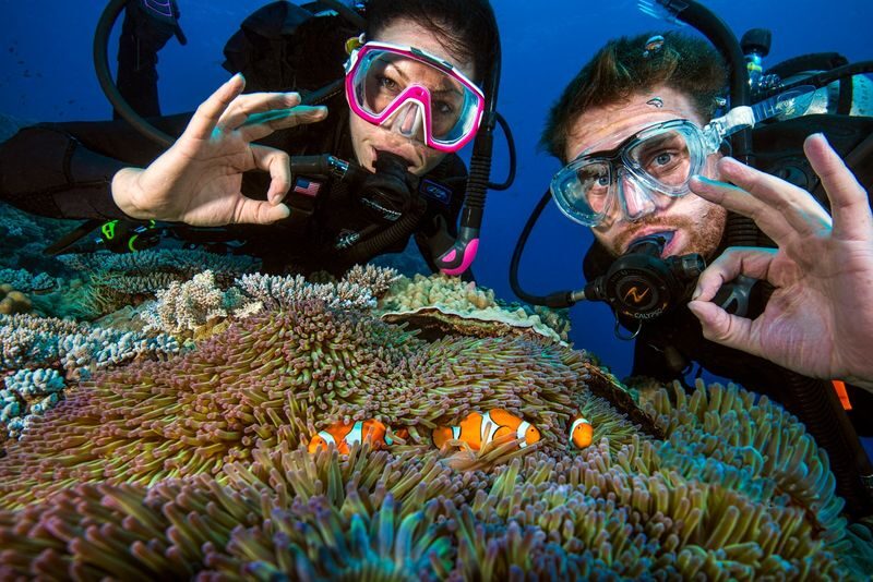 PADI 3-Day/2 Night Liveaboard Trip - Day two: a full day, with a second night swim