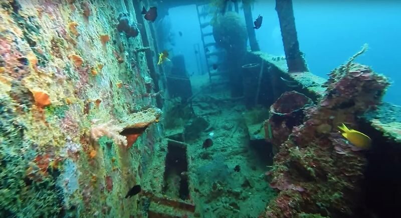 PADI Advanced: Next-Level Diving in Boracay with PADI Center - Study first with PADI eLearning