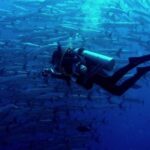 PADI Open Water & Advanced Open Water Course at Semporna in Sabah - Open Water or Advanced: choose the right course