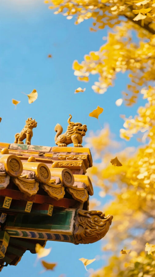 Palace Museum ticket + electronic audio guide (multi-language options available) - From Meridian Gate into the imperial courtyards