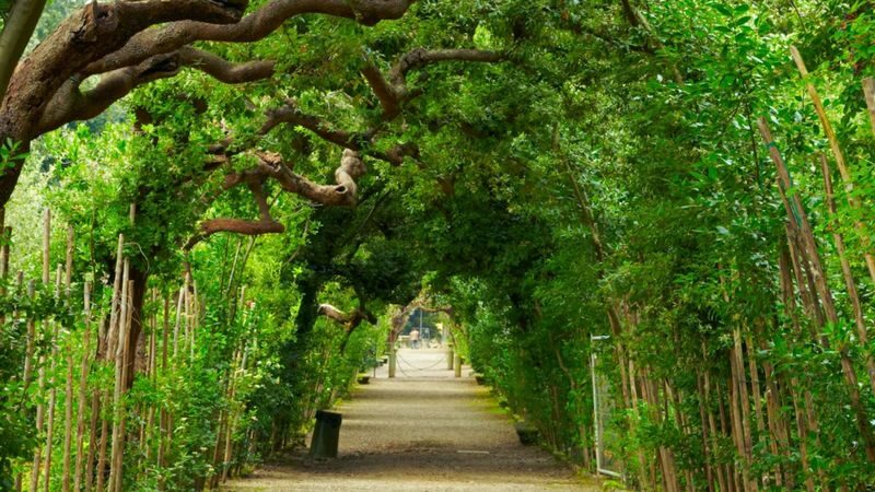 Palazzo Pitti, Boboli and Bardini Gardens ticket in Florence - Inside a palace built to signal power