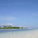 Panglao Half-Day Private Island Hopping Tour - Dolphin watching, with nature in charge