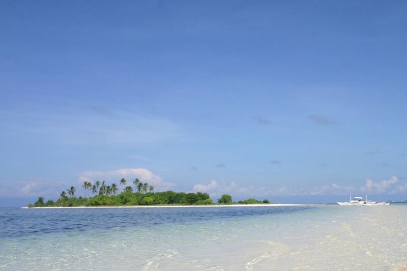 Panglao Half-Day Private Island Hopping Tour - Dolphin watching, with nature in charge