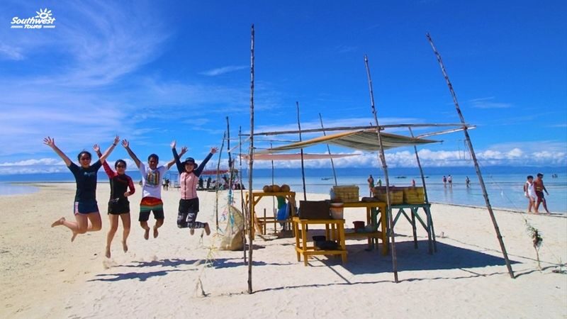 Panglao Island Hopping by Southwest Tours - Balicasag’s sanctuary: fish, coral and turtles