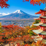 Panoramic Mt. Fuji Featured Experience Day Tour [Free Little Train Ticket] Little Train Experience + Kawaguchiko Ropeway/Cruise + Ladder Town + Nikawa Clock Shop + Internet Famous Convenience Store + Yamanakako Swan Feeding (Departing from Tokyo) - The mini train makes the transfer part of the trip