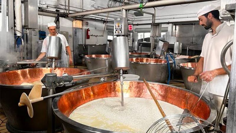 Parma Parmigiano-Reggiano Half-Day Big Group Tour - From Parma station to the dairy