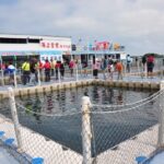Penghu Marine Ranch: Marine Palace - Squid Fishing & Seafood BBQ - Hookless fishing is play, not a catch guarantee