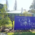 Perth Canal Rocks & Busselton Jetty Full-Day Tour - Riding Busselton Jetty’s little train