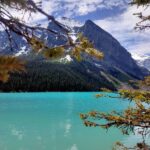Peyto Lake, Moraine Lake, Lake Louise and Crowfoot Glacier Tour - Peyto Lake and its wolf-head outline