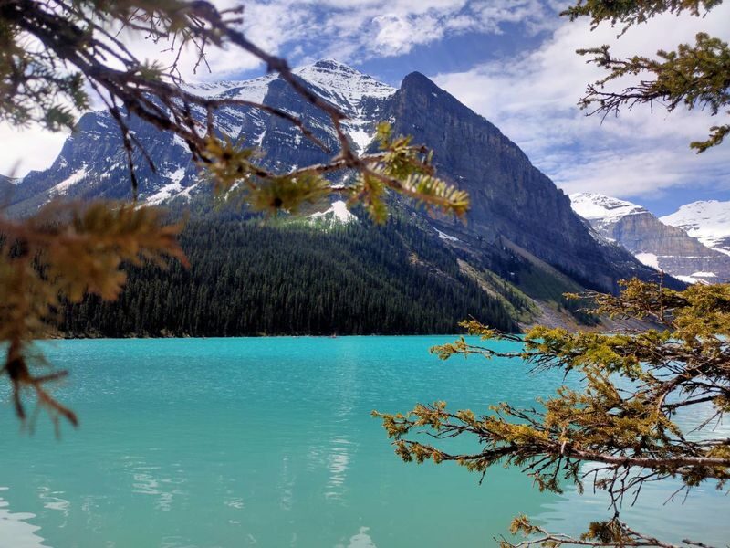 Peyto Lake, Moraine Lake, Lake Louise and Crowfoot Glacier Tour - Peyto Lake and its wolf-head outline