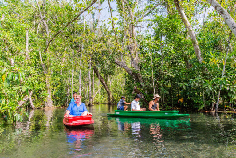 Phang Nga Cheow Lan Lake Full-Day Tour with Cave Exploration - Longtail boat views across Cheow Lan Lake