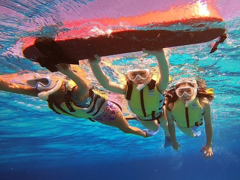 Phantom Island Landing & Snorkeling Half-Day Course - The snorkel stop brings a second kind of scenery