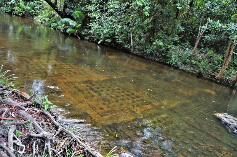 Phnom Kulen National Park Full-Day Guided Adventure - Setting out from Siem Reap