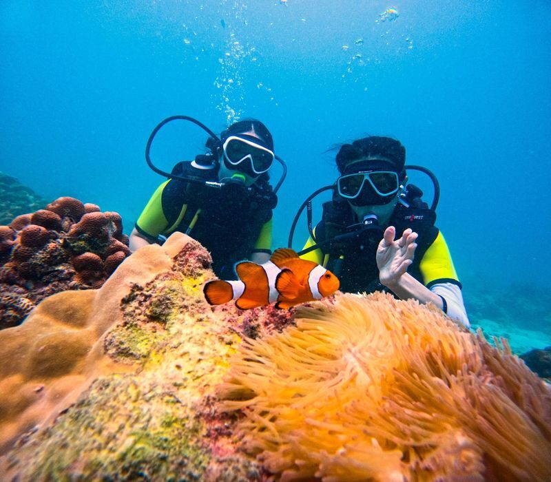 Phuket Dive Trip Racha Island(s) For All-level in Phuket - A 90-minute ride to Racha Yai