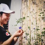 Phuket Easy Thai Cooking Class - Learning Recipes You Can Make Again