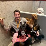 Play with Dogs at Dog Cafe Rio Kyoto[Dog Cafe Rio Kyoto] - What happens during your visit