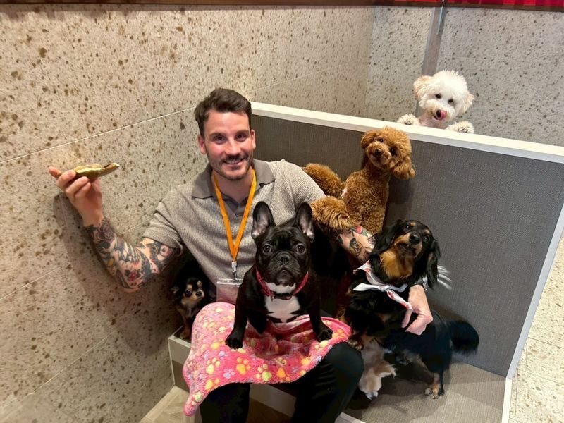 Play with Dogs at Dog Cafe Rio Kyoto[Dog Cafe Rio Kyoto] - What happens during your visit