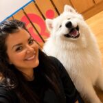 Play with Dogs at Dog Cafe Rio Shinjuku [Dog Cafe Rio Shinjuku] - What happens during your visit