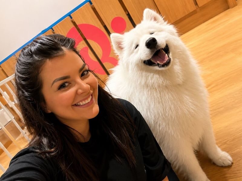 Play with Dogs at Dog Cafe Rio Shinjuku [Dog Cafe Rio Shinjuku] - What happens during your visit