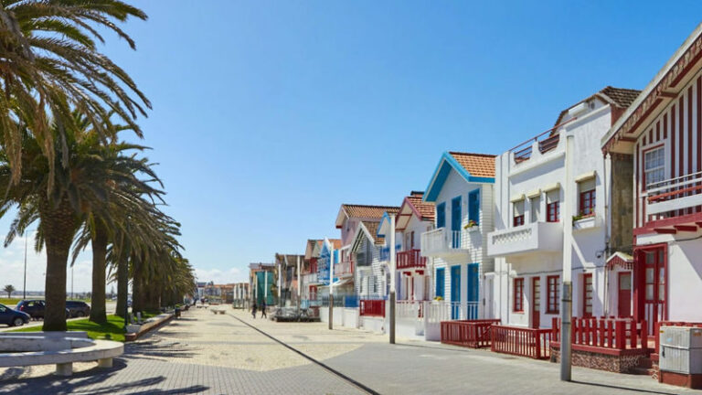 Porto Aveiro & Costa Nova Half-Day Walking Tour - Find the Porto Cathedral meeting point
