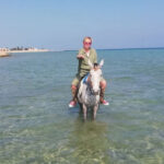 Premium 3 Hours Horse Riding Adventure with Swimming - Hurghada - Following the Shoreline Toward the Red Sea