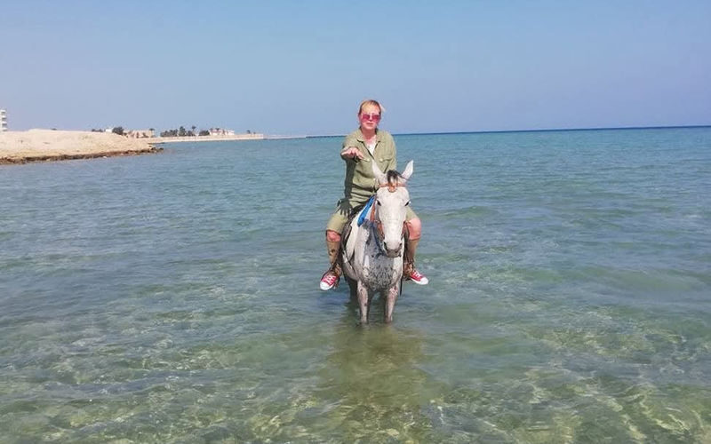 Premium 3 Hours Horse Riding Adventure with Swimming - Hurghada - Following the Shoreline Toward the Red Sea