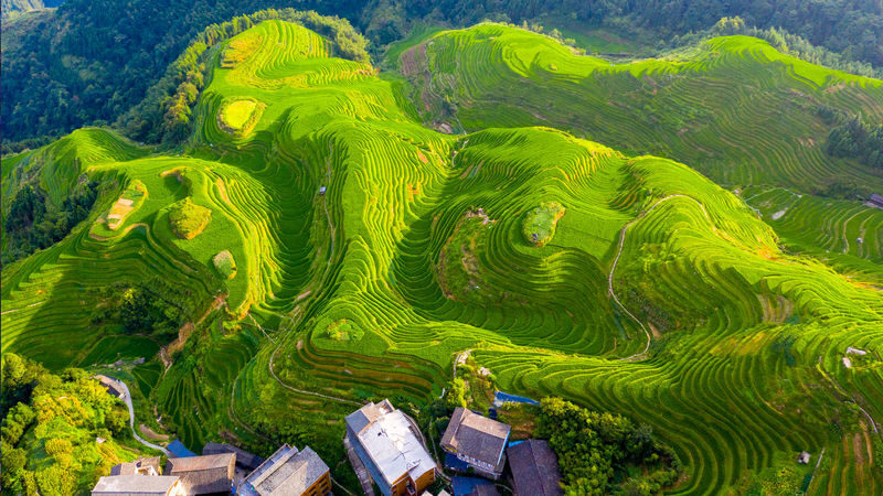 Private 1-Day Tour of Longji Pingan Rice Terraces, Guilin - Walking into Ping’an and the terraces