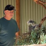 Private Blue Mountains, Scenic World & Australian Wildlife Tour - Featherdale: a close look at Australian wildlife