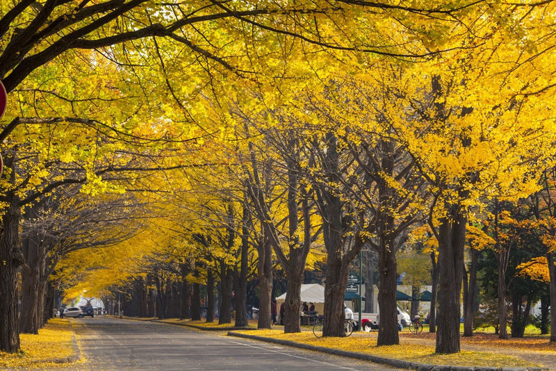 Private Car Charter Tour: Hokkaido Sapporo, Jozankei, and Otaru Day Trip | Customizable Itinerary - What the eight-hour day can realistically hold