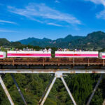 Private car tour from Kumamoto to Takachiho (Aso) and surrounding areas | Takachiho Gorge | Amanoiwato Shrine | Takachiho Shrine | Takachiho Trolley Train | Mount Aso | Kusasenri | Kamishikimi Kumanoimasu Shrine, etc. - Choosing between Takachiho and Aso