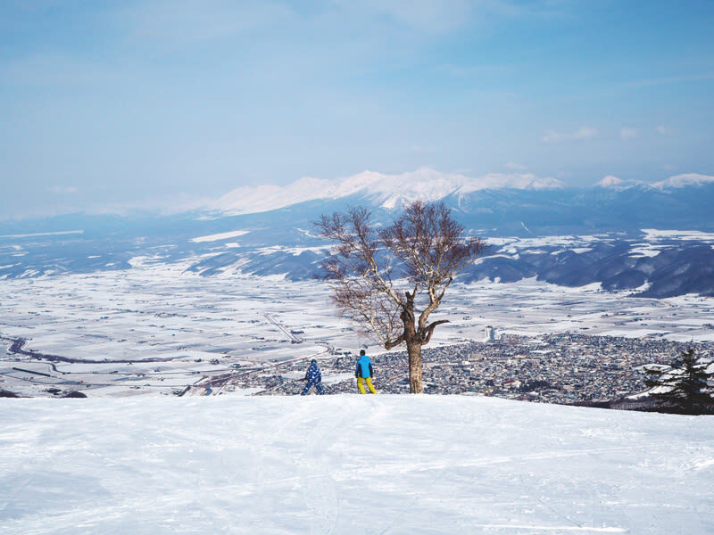 Private Customizable Day Tour to Sapporo & Otaru (From Sapporo) - Sapporo stops: shrine, market, and chocolate park