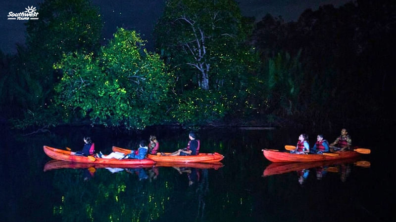 Private Night Fireflies Experience in Abatan River - What makes the private format useful