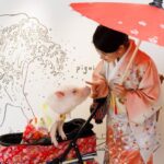 Private Room Micro Pig Cafe with Feeding Experience (Tokyo Asakusa) - What happens during the hour