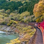 Private Shore Excursion to Kyoto from Kobe Cruise Port - A local host can make culture easier to read