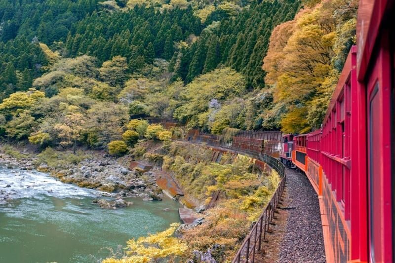 Private Shore Excursion to Kyoto from Kobe Cruise Port - A local host can make culture easier to read