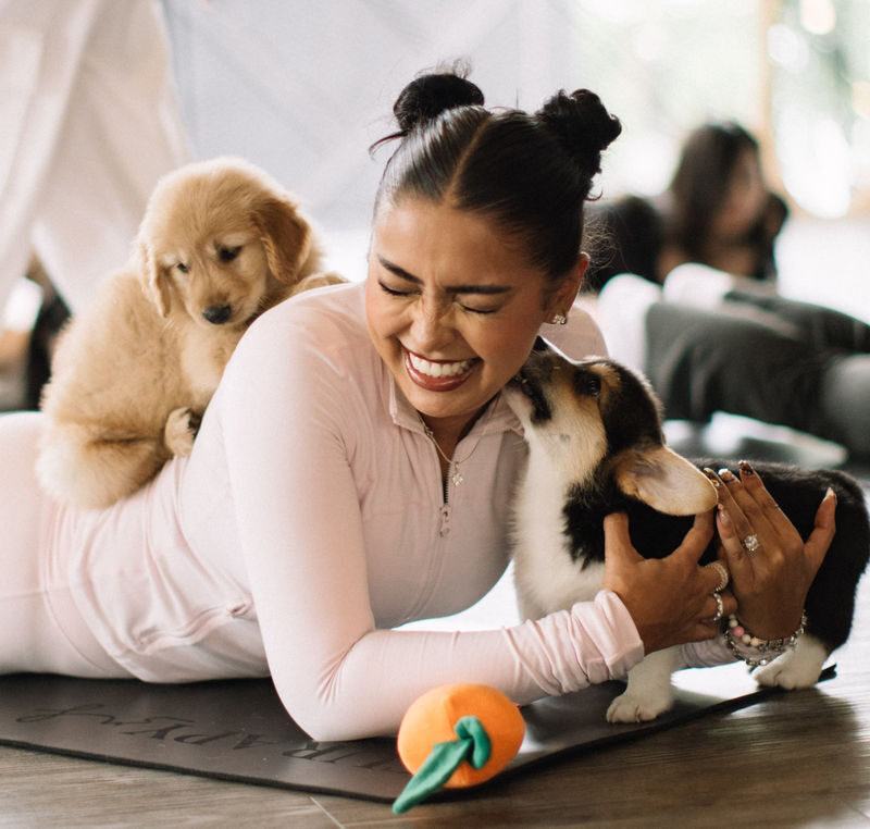 Puppy & Kitten Yoga Therapy with Photo Experience in Bangkok - Know which version you are booking