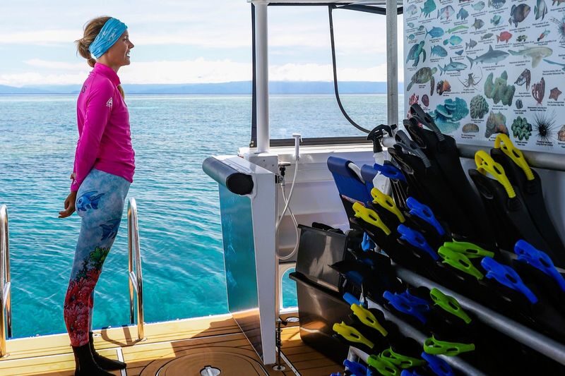 Pure Snorkelling Half Day Great Barrier Reef Tour - The speedboat saves time, but the sea still has a say