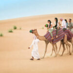 Red Dunes Desert Half-Day Safari with Live Entertainment - From hotel pickup to the desert