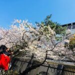 Rickshaw Experience in Kamakura - The 60-minute route adds room to explore